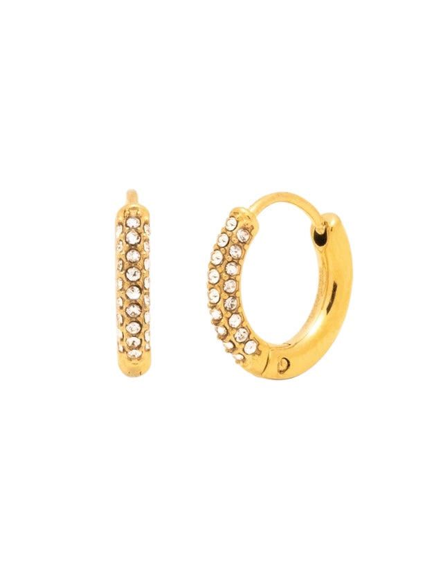 Orecchini linea anallergica 316L